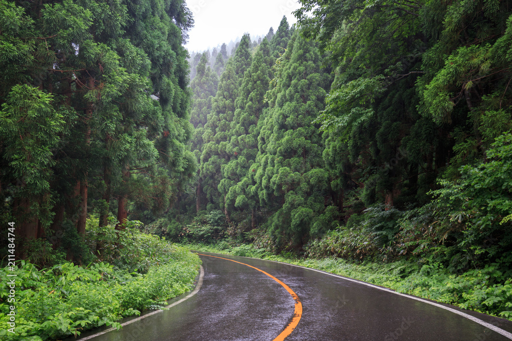 Road curves through beautiful green mountain forest on rainy day Road curves through beautiful green mountain forest on rainy day