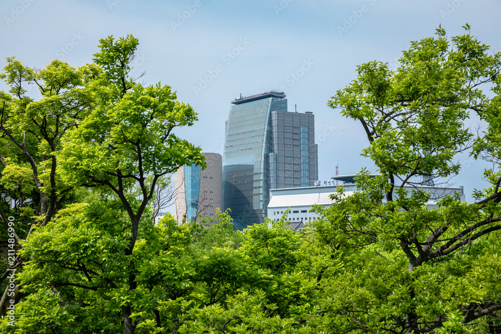 Osaka, Japan city skyline at the castle and business park in the