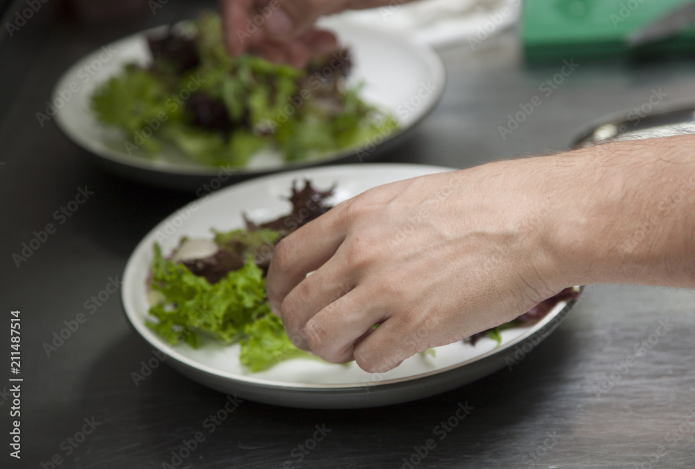 The hands of the chef preparing a salad of greens The hands of the chef preparing a salad of greens