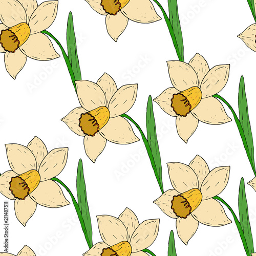 Fototapeta Naklejka Na Ścianę i Meble -  Vector seamless pattern with yellow spring daffodils.