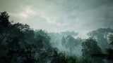 Timelapse view over a beautiful lush green jungle. 3D rendering.