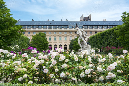 Palais Royal garden in center of Paris, France