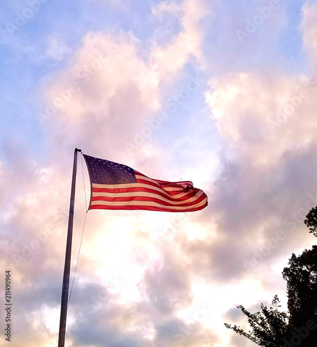 American Flag in the Breeze