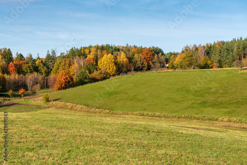 Beautiful rural fall landscape in sunny day.