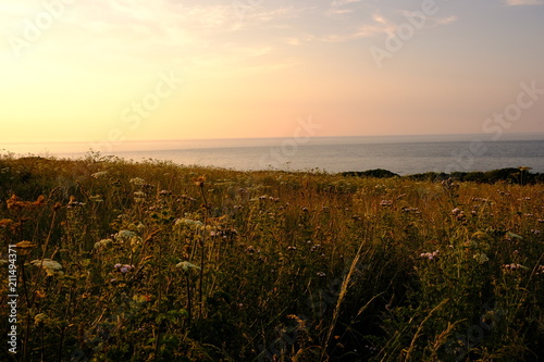 sunrise field photo