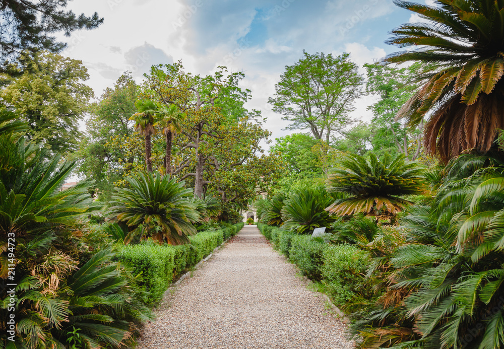 Orto botanico di Pisa botanical garden in Pisa Tuscany Italy