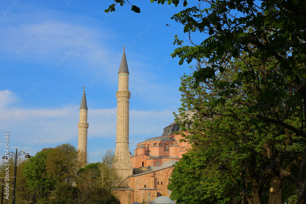 Hagia Sophia and Tree