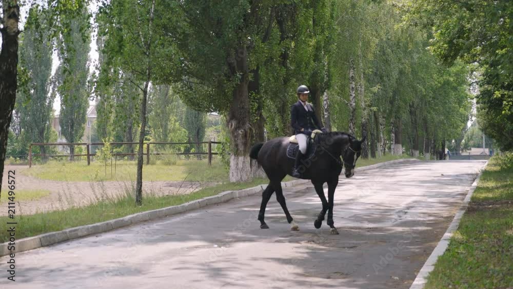 young girl riding a strong brown horse outdoors going on the road to the tournament. dressage arena at dawn. A woman with a dress uniform of a rider. green trees in the background 4k young girl riding a strong brown horse outdoors going on the road to the tournament. dressage arena at dawn. A woman with a dress uniform of a rider. green trees in the background 4k