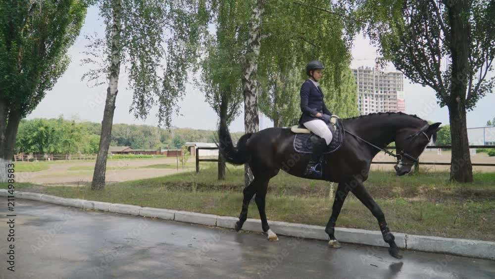 young girl riding a strong brown horse outdoors going on the road to the tournament. dressage arena at dawn. A woman with a dress uniform of a rider. green trees in the background 4k young girl riding a strong brown horse outdoors going on the road to the tournament. dressage arena at dawn. A woman with a dress uniform of a rider. green trees in the background 4k