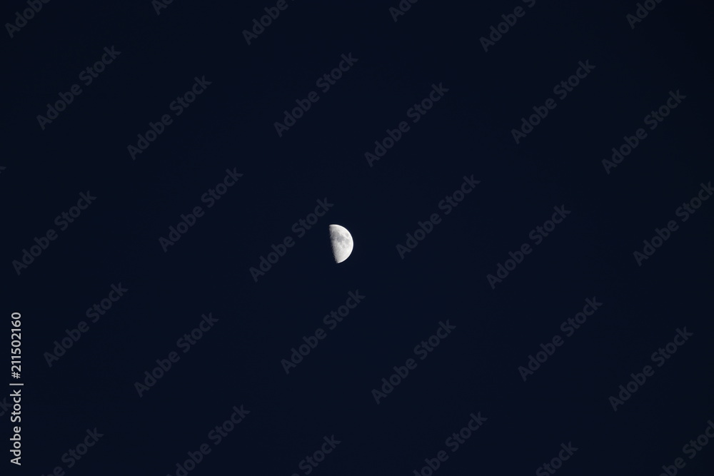 moon moon