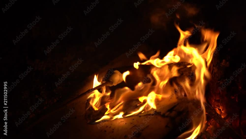 Marshmallow roasting over campfire Marshmallow roasting over campfire