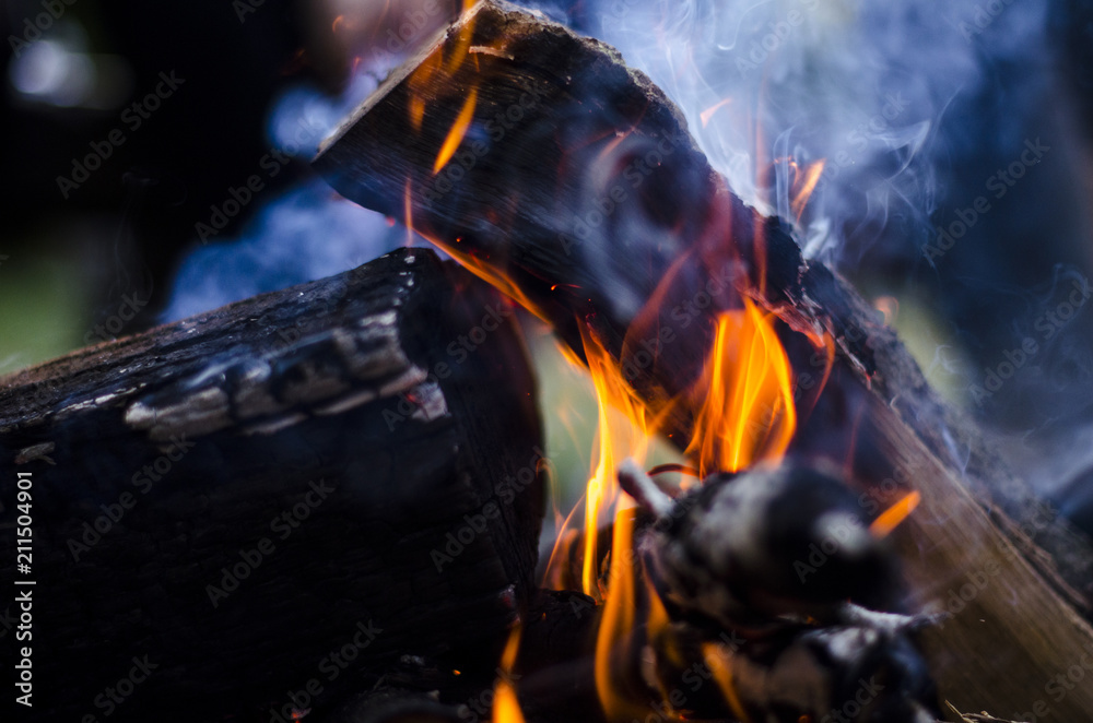 Naklejka premium Burning branches with smoke. Campire, bonfire.