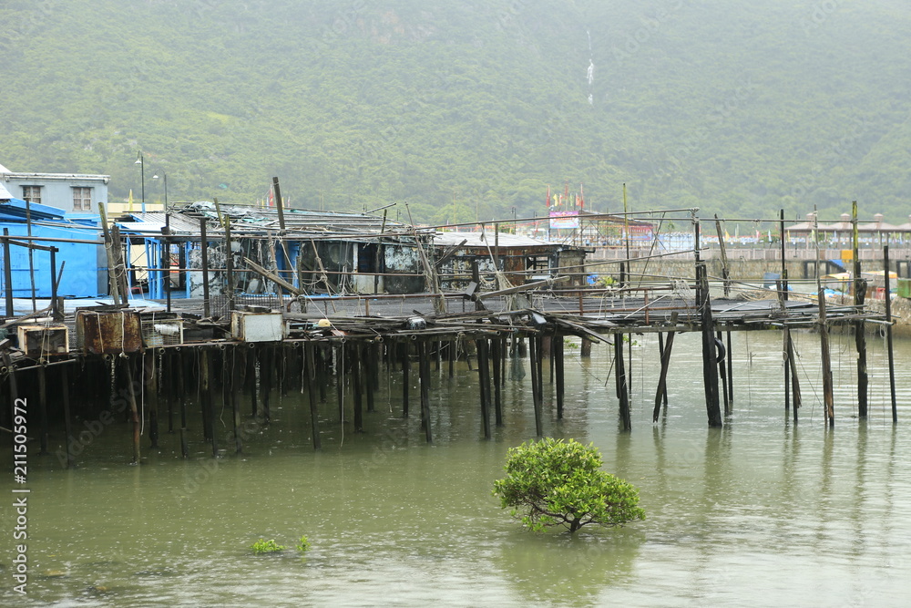 Village flottant de Tai O près de Hong Kong