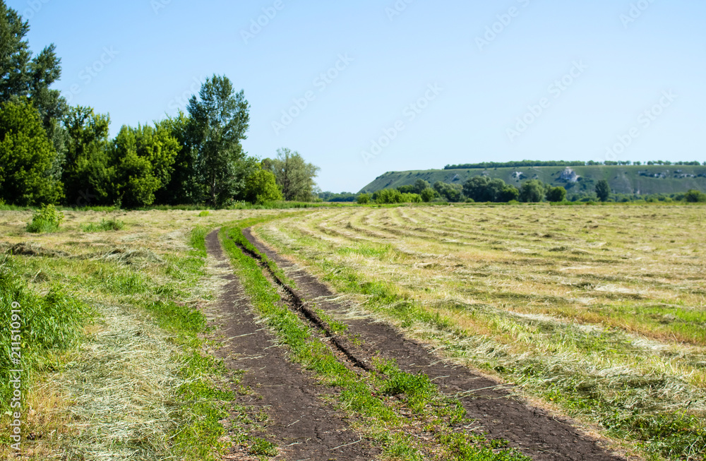 Rural landscape, dirt road goes into the distance.  Field, mountains and sky.