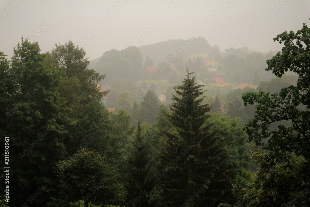 Nebel Richtung Hinterhermsdorf