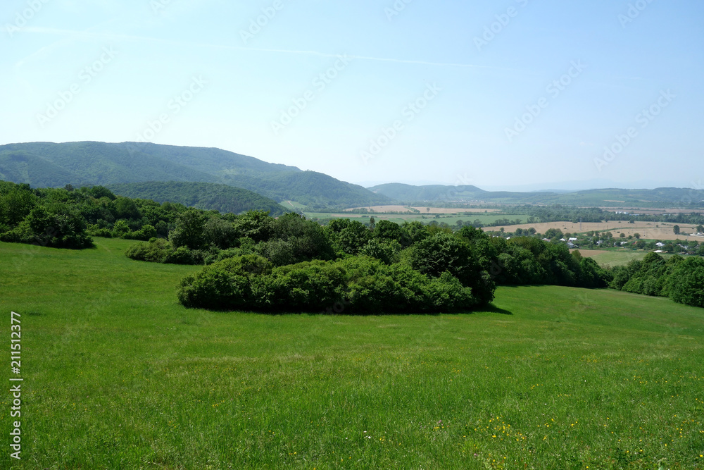 Green meadow Green meadow