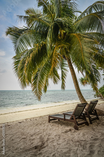 Chairs under palm tree © tashka2000