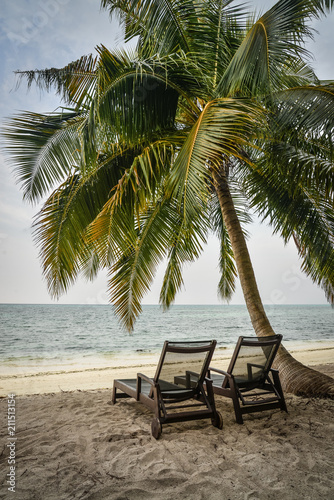 Chairs under palm tree © tashka2000