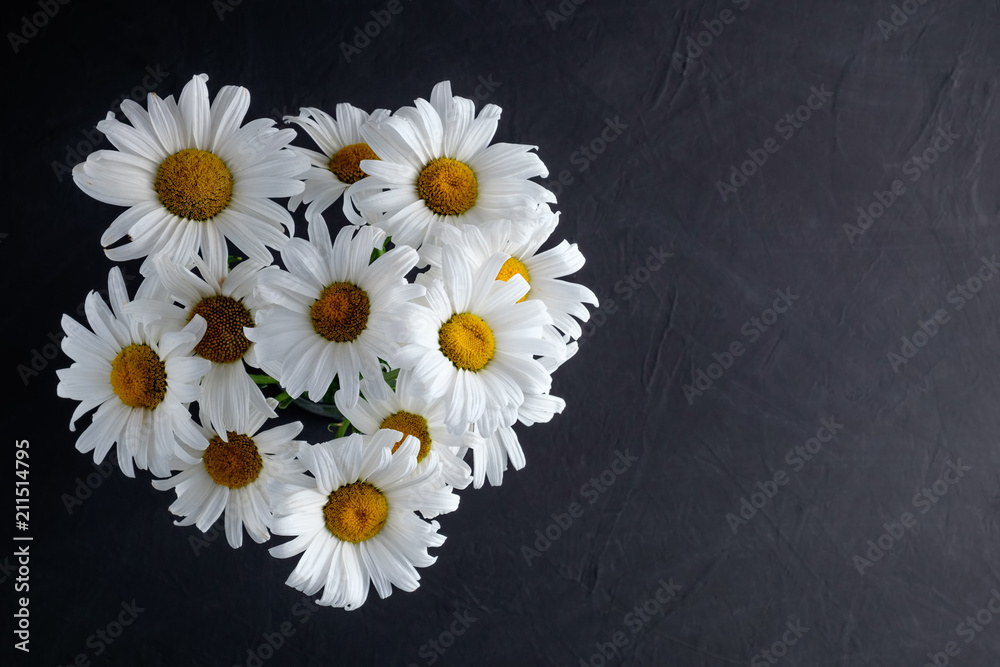 Obraz premium A bouquet of chamomiles on a dark background as a symbol of awareness of the fight against tuberculosis. Top view, copy space for text