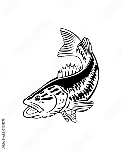 ibass fish