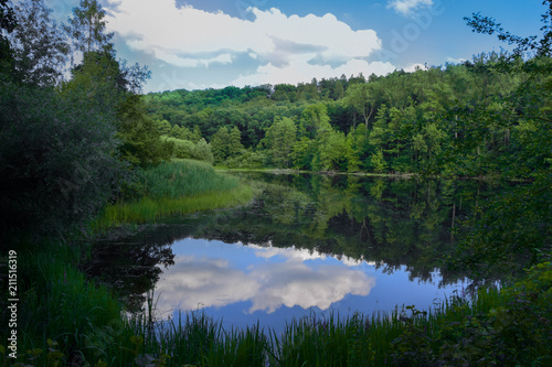 Reflection of a lake in tge forest