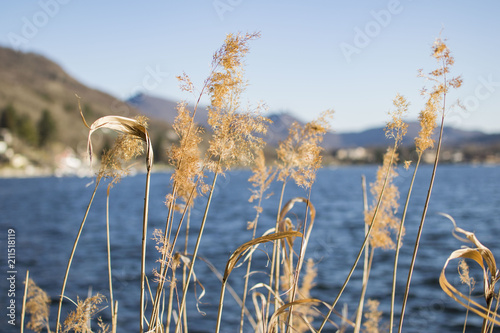 Lake of Avigliana - Susa Valley photo