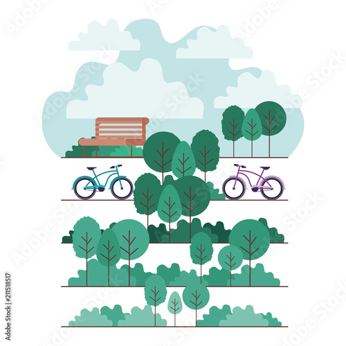 park with chair and bicycle scene vector illustration design
