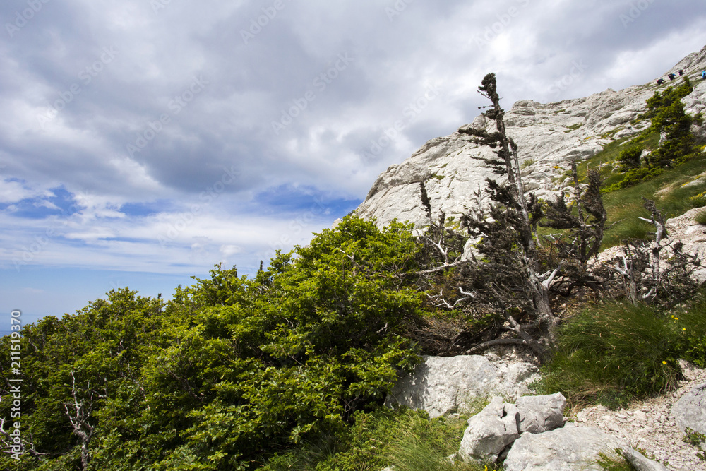 Croatian Velebit mountain landscape - path to Balinovac peak