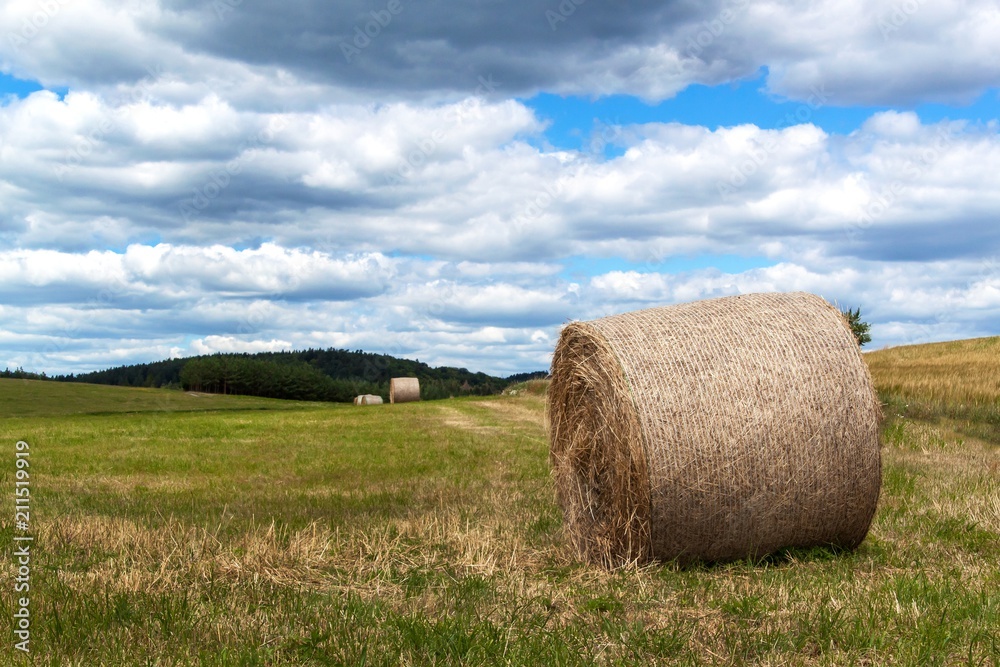 Straw bales on a field in the Czech Republic. Harvest of hay. Clouds in the sky. Agricultural farm.