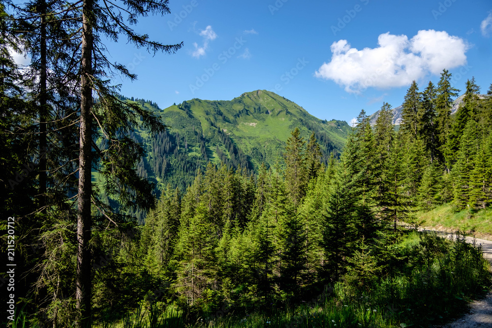 Blick zum Galtjoch