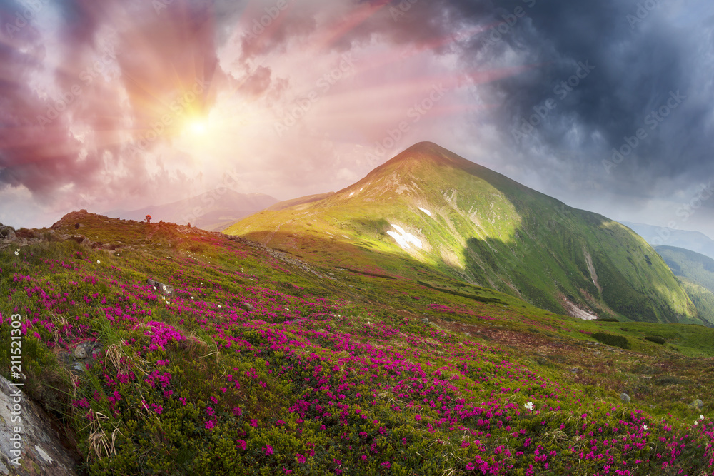 Rain on Chernogora in the Carpathians