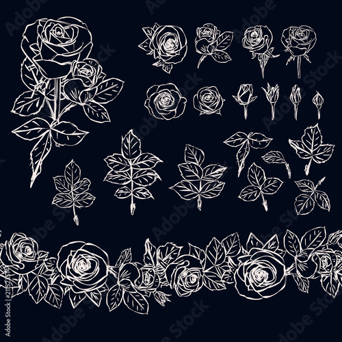 Isolated outline rose elements on dark background. Seamless brush made of rose buds and leaves. Chalk.