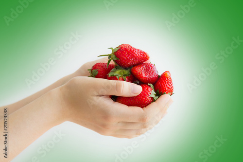women's hands holding a large handful of ripe strawberries