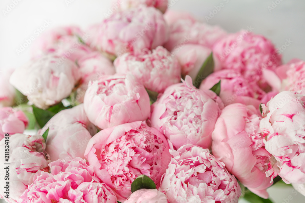 Fototapeta Tapeta. Śliczne kwiaty różowe piwonie . Kompozycje kwiatowe, światło dzienne.