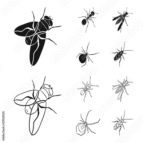 An insect arthropod, an osa, a spider, a cockroach. Insects set collection icons in black,outline style vector symbol stock isometric illustration web.
