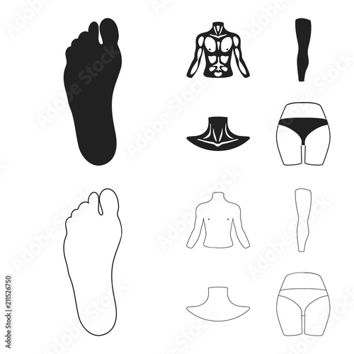 Torso, leg, neck and buttocks. Body parts set collection icons in black,outline style vector symbol stock illustration web.