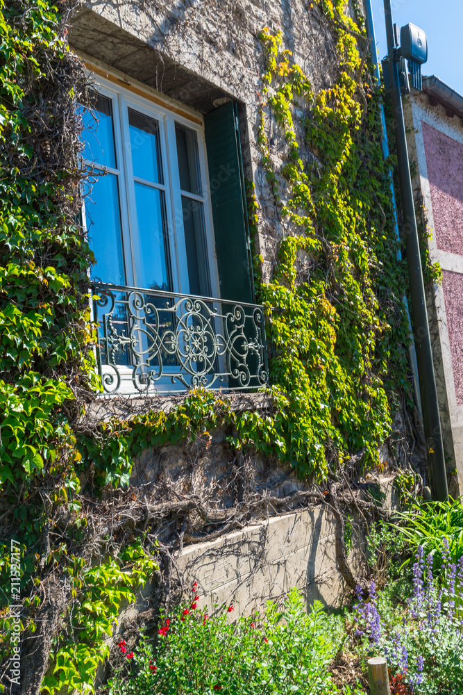 Window at Giverny