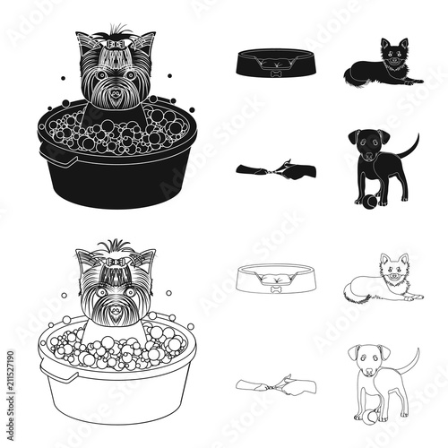 Lounger for a pet, clipping of claws in a vet clinic, lying dog, puppy with a ball. Vet clinic and pet,dog care set collection icons in black,outline style vector symbol stock illustration web.