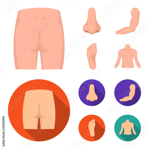 Buttocks, nose, arm, foot. Part of the body set collection icons in cartoon,flat style vector symbol stock illustration web.