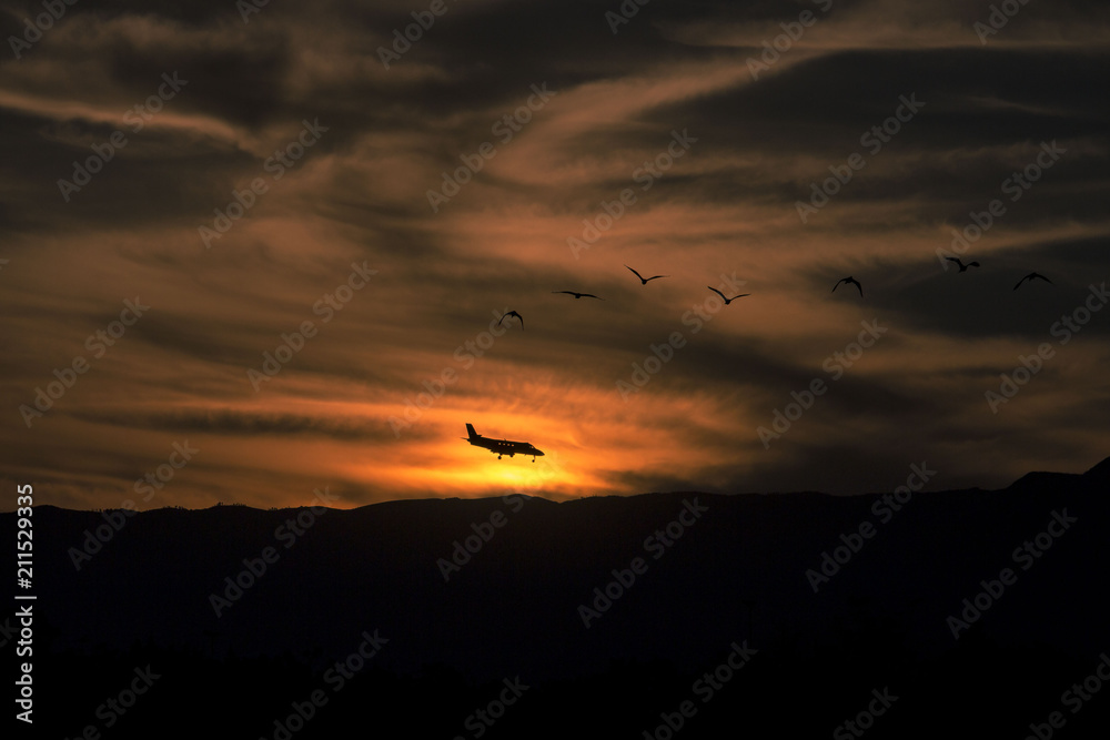 Airplane, birds and the sunset