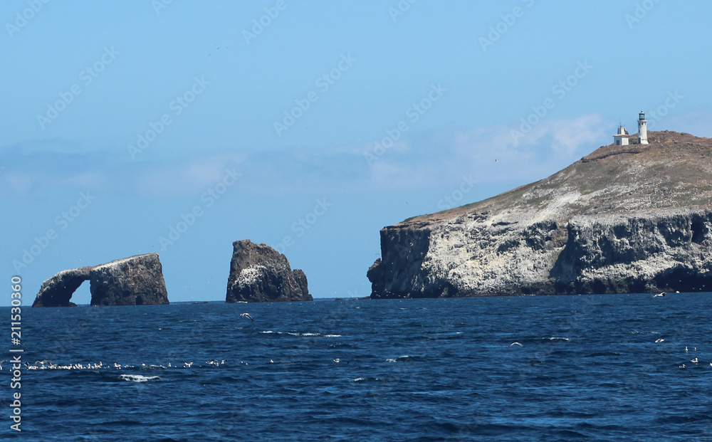Pacific Ocean: Channel Islands wildlife and seaside cliffs