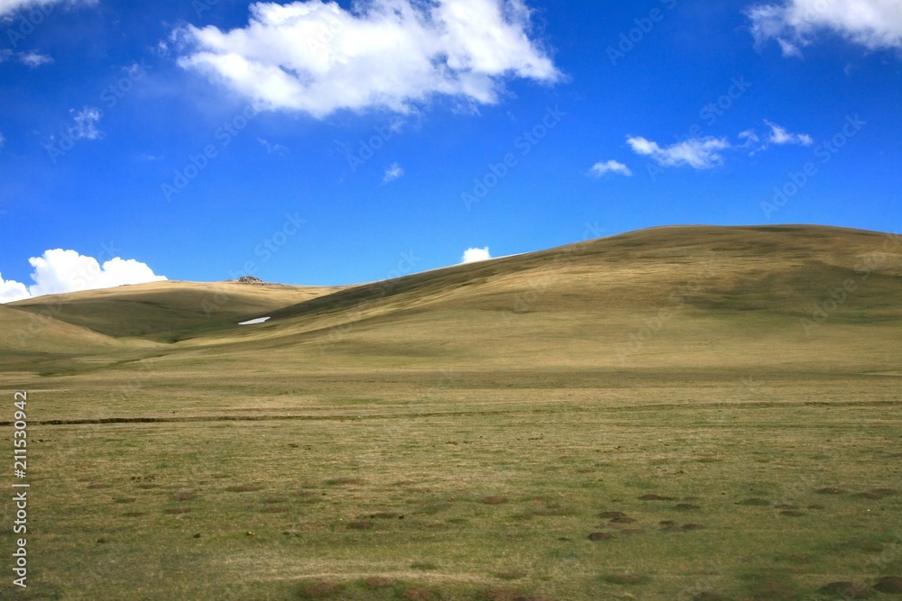 The large meadow  with blue sky at Ulaanbaatar , Mongolia