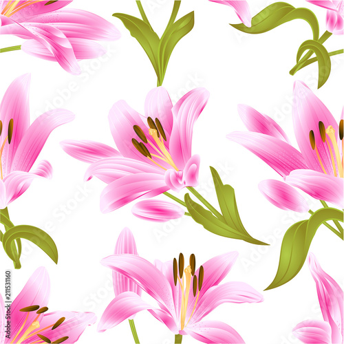 Seamless texture Pink Lily Lilium candidum,flower with leaves and bud on a white background vintage vector illustration editable hand drawn
