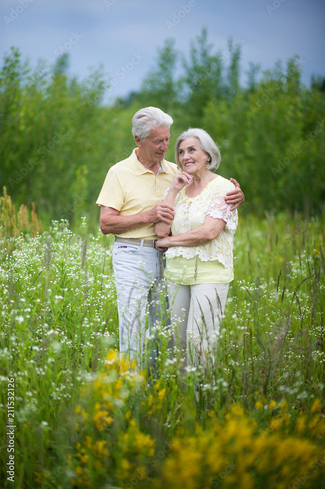 Fototapeta premium mature couple in summer park