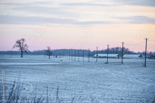 Open fields in winter. Bald trees and snowy lands. Vanilla sky. The power poles in the queue. © Lelde Feldmane