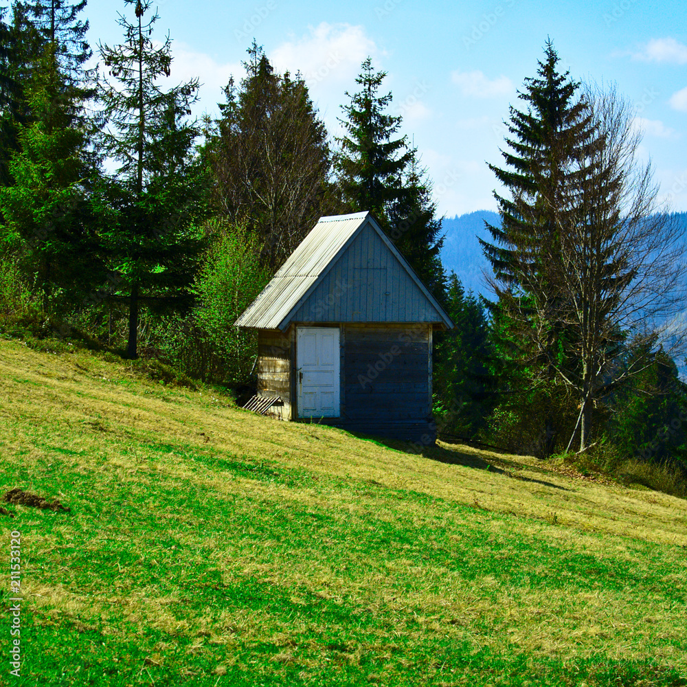 Fototapeta premium old wooden house in the mountains, on a slope