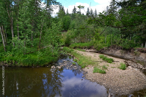 Mill Creek Ravine