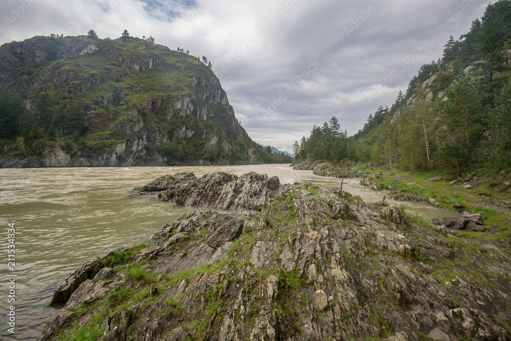 River coast in Altai River coast in Altai