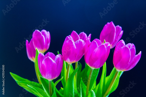 Close-up of purple tulip bouquet over black background