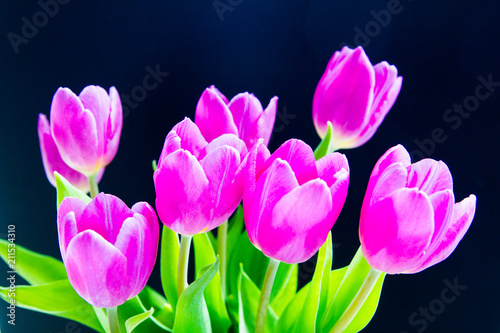 Close-up of purple tulip bouquet over black background